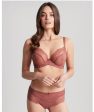 Panache Ana Brief - Sienna Online Hot Sale