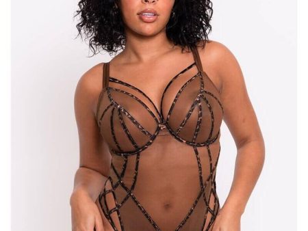 Scantilly Senses Plunge Bodysuit - Leopard Brown For Sale