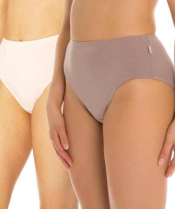 Sloggi Hikini 2 Pack Brief - Pink Brown Online Sale